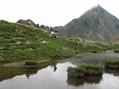 76 Vicino il Pizzo dell'Orto (2276 m.)